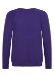 AWDis Academy Kids Raglan Sweatshirt
