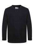 AWDis Academy Kids V Neck Sweatshirt