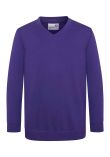 AWDis Academy Kids V Neck Sweatshirt