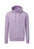 Anthem Organic Hoodie