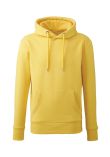 Anthem Organic Hoodie