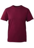 Anthem Organic T-Shirt