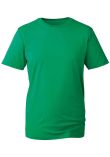 Anthem Organic T-Shirt