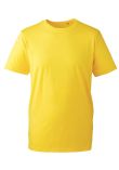 Anthem Organic T-Shirt