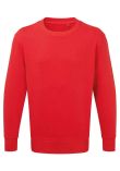 Anthem Organic Sweatshirt