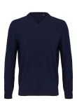 NEOBLU Sullivan V Neck Sweater