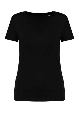 Native Spirit Ladies V Neck T-Shirt