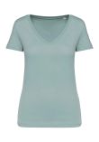 Native Spirit Ladies V Neck T-Shirt