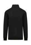 Native Spirit 1/4 Zip Sweatshirt