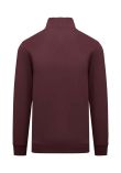 Native Spirit 1/4 Zip Sweatshirt