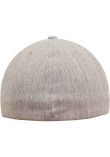 Flexfit Flat Visor Cap