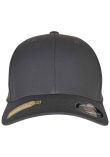 Flexfit Recycled Polyester Cap