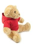 Mumbles Teddy Hoodie