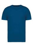Native Spirit Unisex Heavyweight T-Shirt