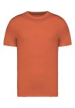Native Spirit Unisex Heavyweight T-Shirt