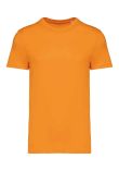 Native Spirit Unisex Heavyweight T-Shirt