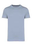 Native Spirit Unisex Heavyweight T-Shirt
