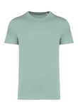 Native Spirit Unisex Heavyweight T-Shirt