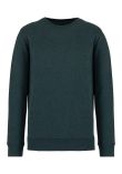 Native Spirit Unisex Crew Neck Sweatshirt