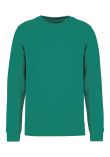 Native Spirit Unisex Crew Neck Sweatshirt