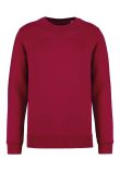 Native Spirit Unisex Crew Neck Sweatshirt