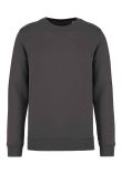 Native Spirit Unisex Crew Neck Sweatshirt