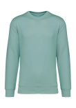 Native Spirit Unisex Crew Neck Sweatshirt