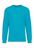 Native Spirit Unisex Crew Neck Sweatshirt