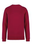 Native Spirit Unisex Crew Neck Sweatshirt