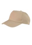Result Boston 5 Panel Printers Cap