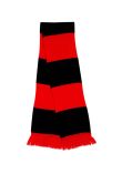 Result Team Scarf