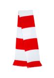 Result Team Scarf