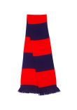 Result Team Scarf