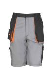 Result Work-Guard Lite Shorts
