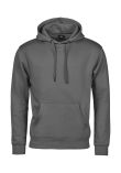 Tee Jays Hooded Sweatshirt