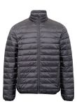 2786 Terrain padded jacket