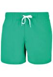 Build Your Brand Swim shorts