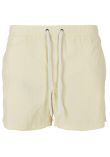 Build Your Brand Swim shorts