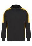 Finden & Hales Adults team hoodie