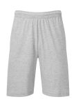 Fruit of the Loom Iconic 195 Jersey shorts
