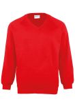 Maddins Kids Coloursure v-neck sweatshirt