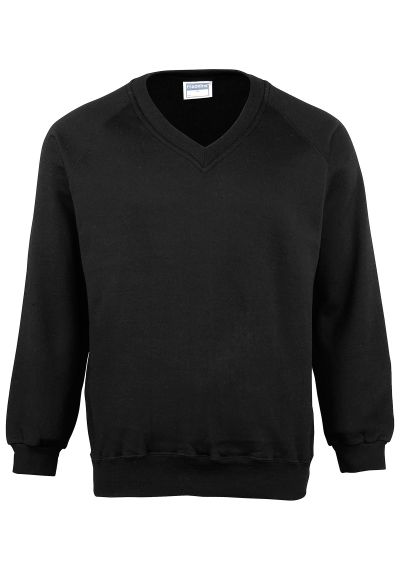 Maddins Coloursure v-neck sweatshirt