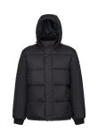Regatta Professional Northdale insulated jacket