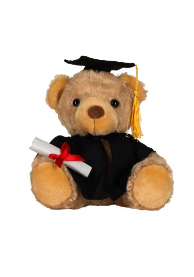 Mumbles Graduation bear