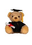 Mumbles Graduation bear