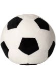 Mumbles Zippie football