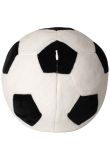 Mumbles Zippie football