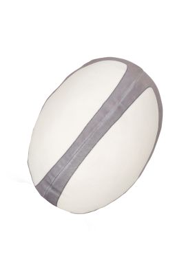 Mumbles Zippie rugby ball
