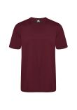 Orn Plover T-Shirt