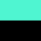 Aqua/Black